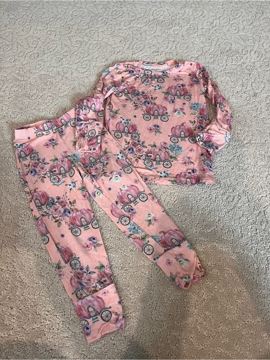 Posh Peanut Other - Posh Peanut Long Sleeve Pajama Set “Pumpkin Carriage Floral Print Size 2T EC